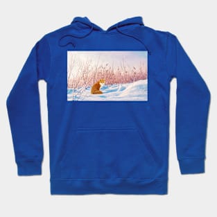 Red Fox in Snow Hoodie